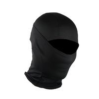 Full Face Winter Liner