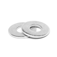 5/16 USS Flat Washer ZP
